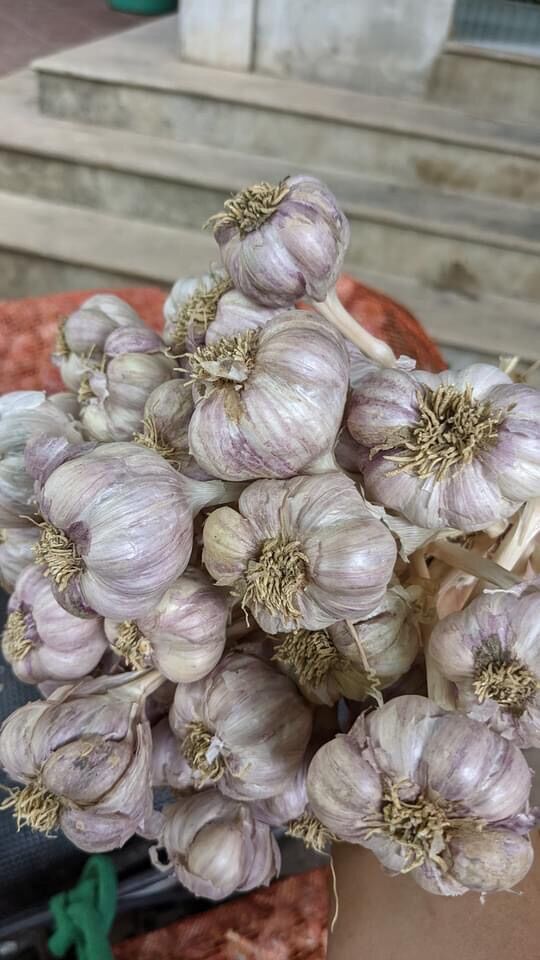 Tỏi 1kg