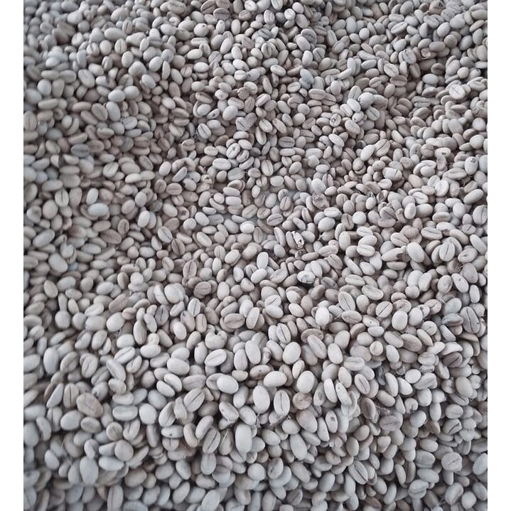 HẠT GIỐNG CÀ PHÊ DÂY THUẬN AN [ 1 KG  HẠT TUYỂN CHỌN BAO NẢY MẦM] CÓ BẢO HÀNH.