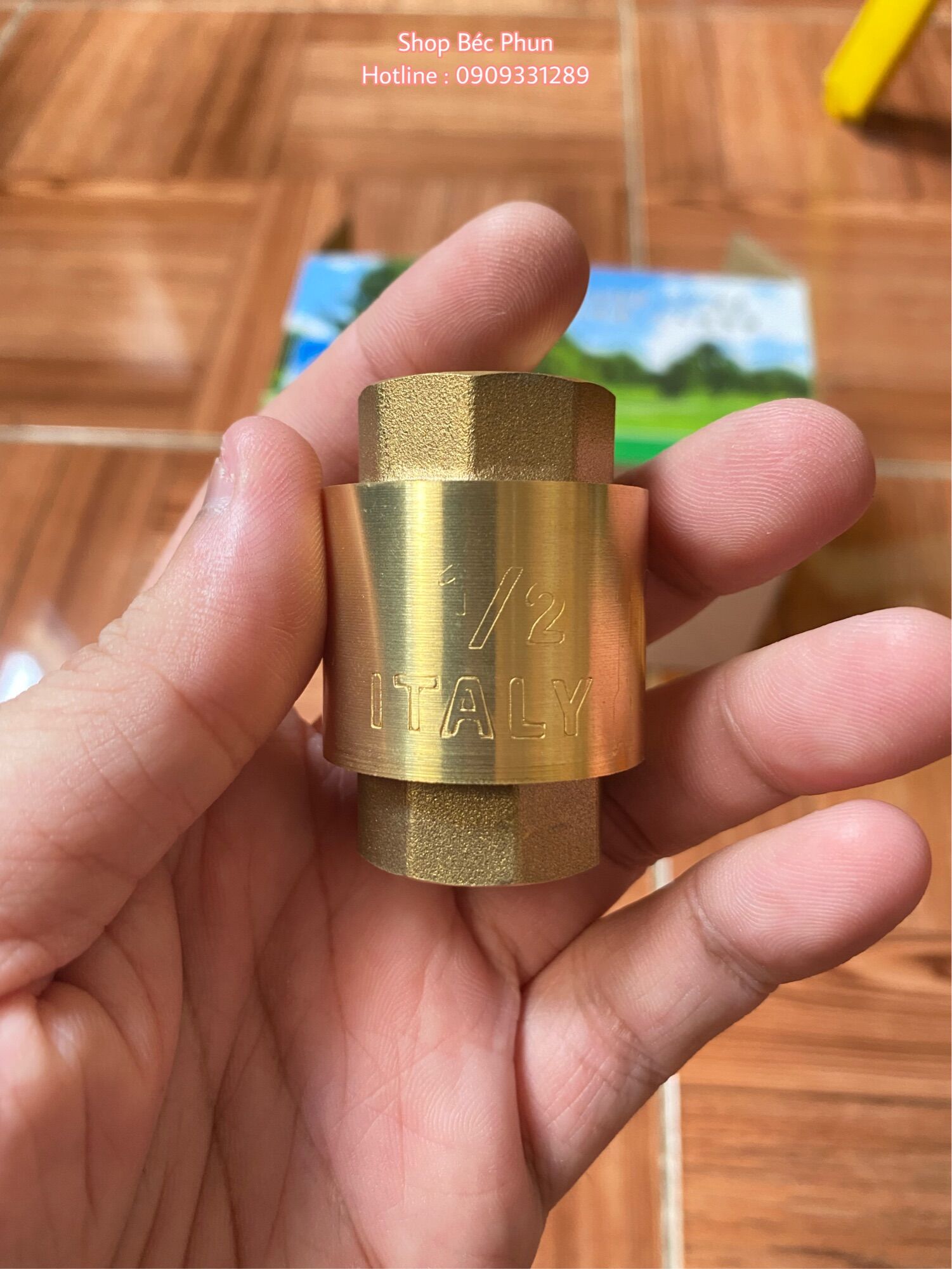 Lupe van 1 chiều lo xo thau phi 21