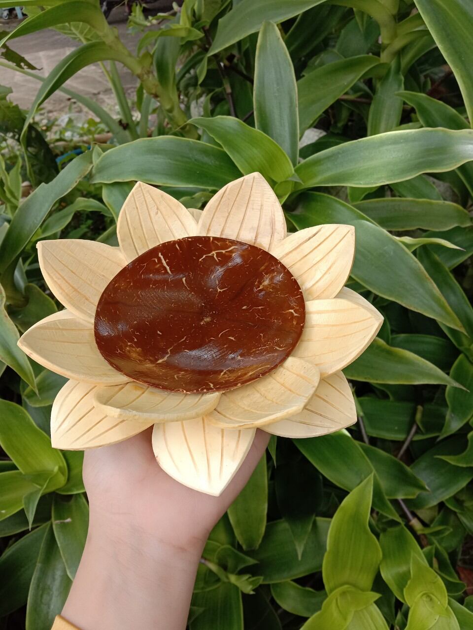 dĩa sen làm từ ráo dừa