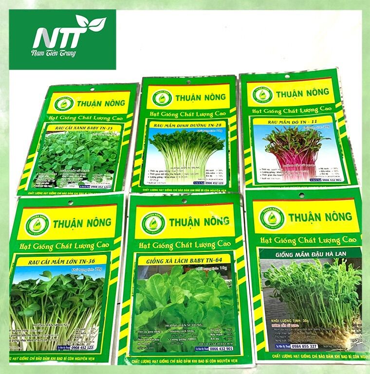 Combo 6 gói hạt giống rau mầm đủ loại, dễ trồng, dễ chăm sóc