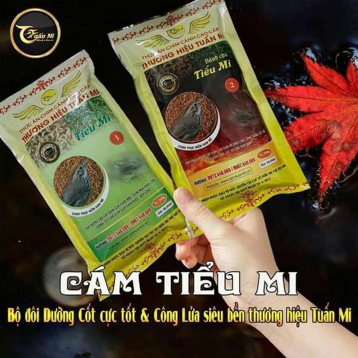 Cám Tiểu Mi số 1 ( Tuấn Mi )