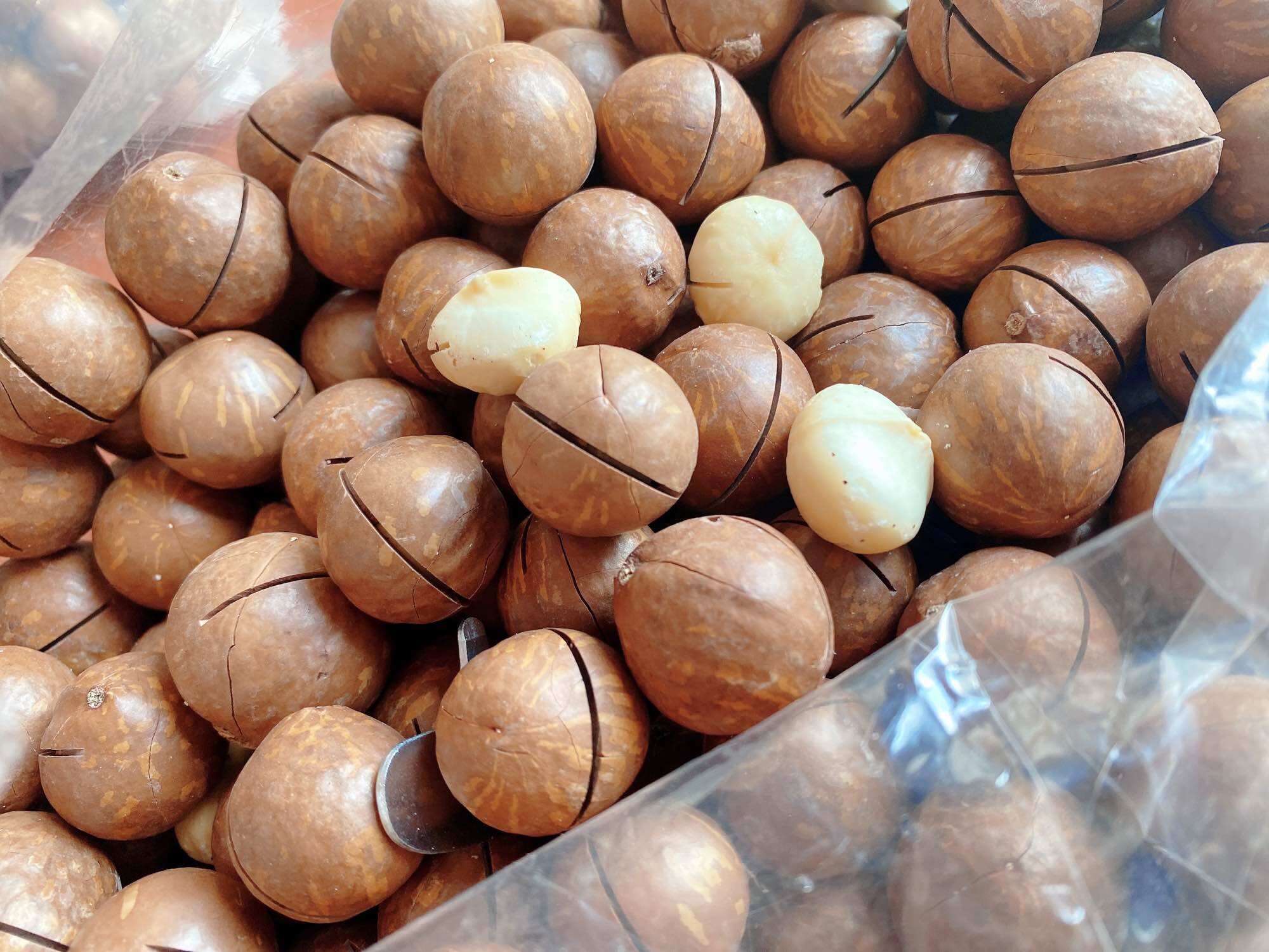 500Gr Macca Daklak size đại bao ngon