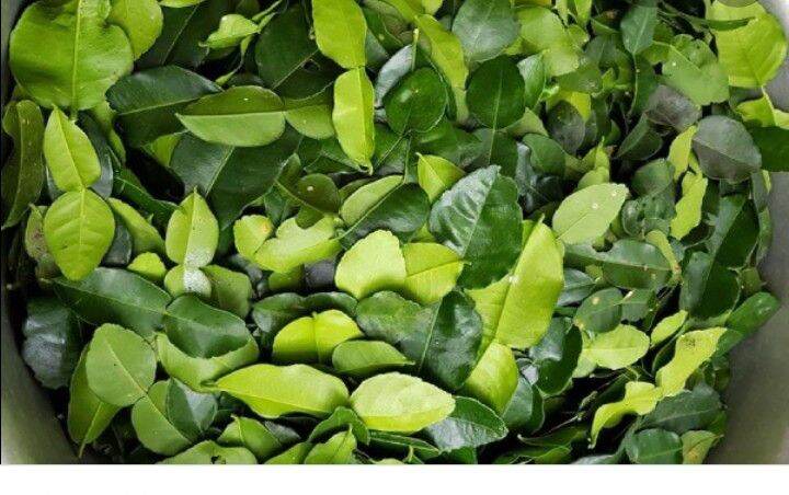 Lá chanh tươi 500g