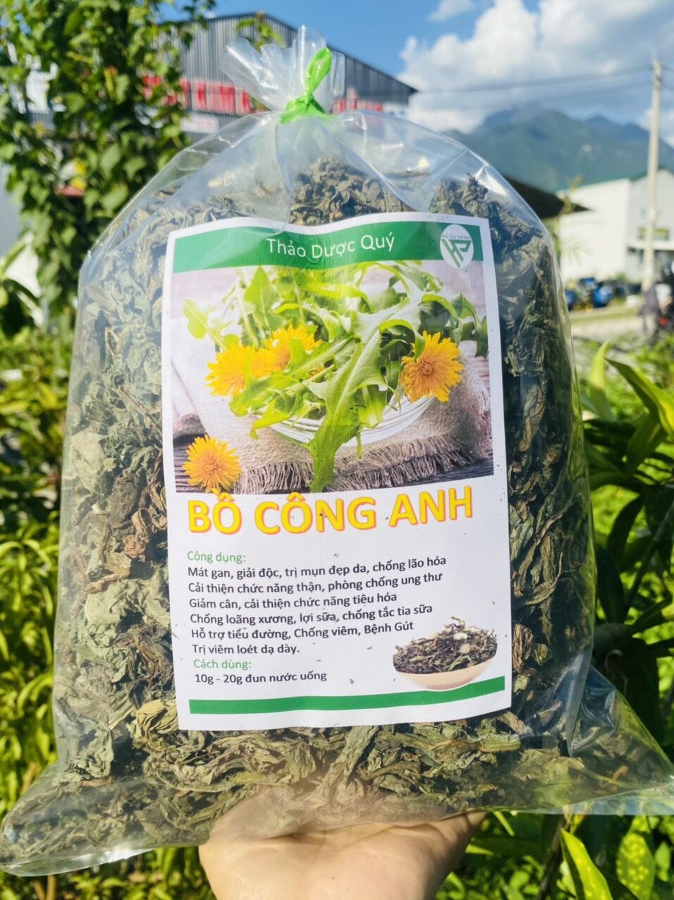 Bồ Công Anh Khô 500g