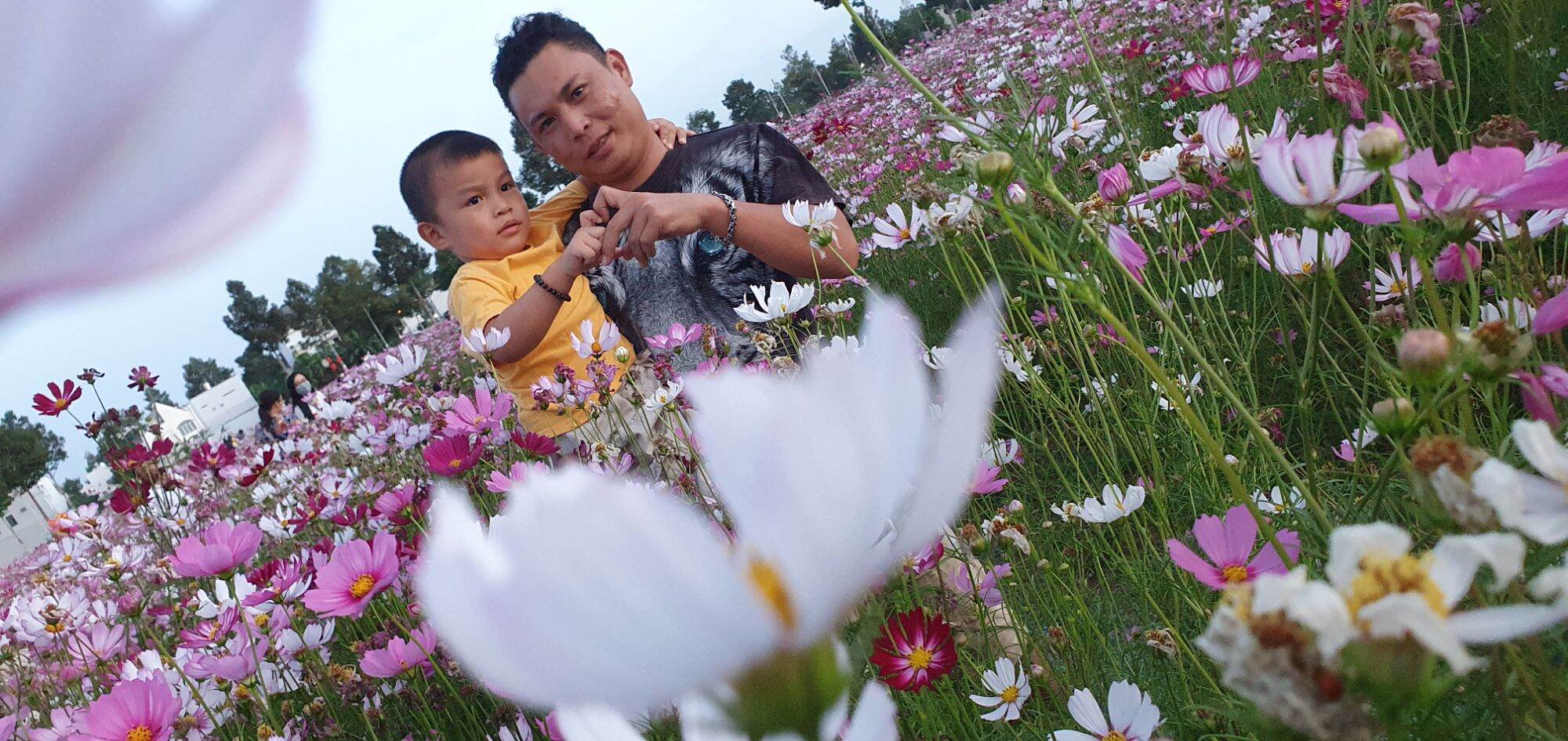 Nước Cốt Lá Bàng Nguyên Chất - Giúp Cá Sung + Khỏe Mạnh