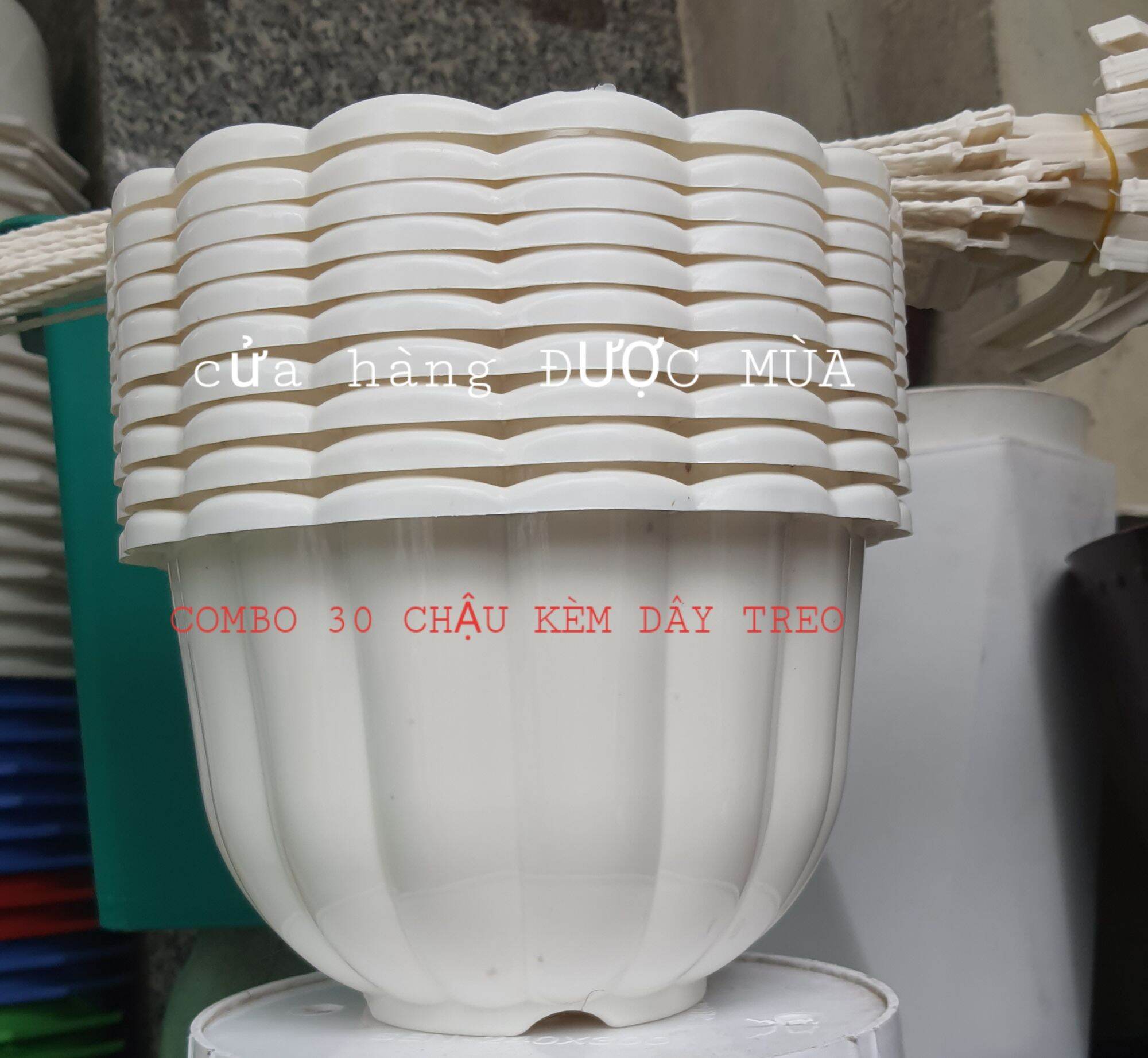 Combo 30 chậu treo trồng cây hoa kiểng các loại. size lớn đường kính 22cm.