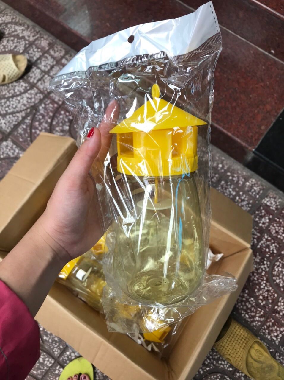 Bẫy Ruồi Vàng - Kèm Ống Dẫn Dụ