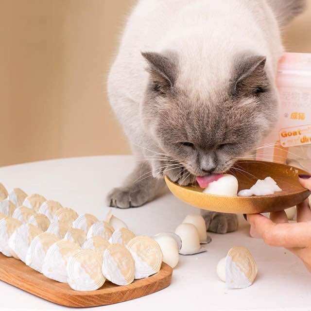 Goat Milk Pudding with Calcium Supplement for Pets (15G/Tablet)