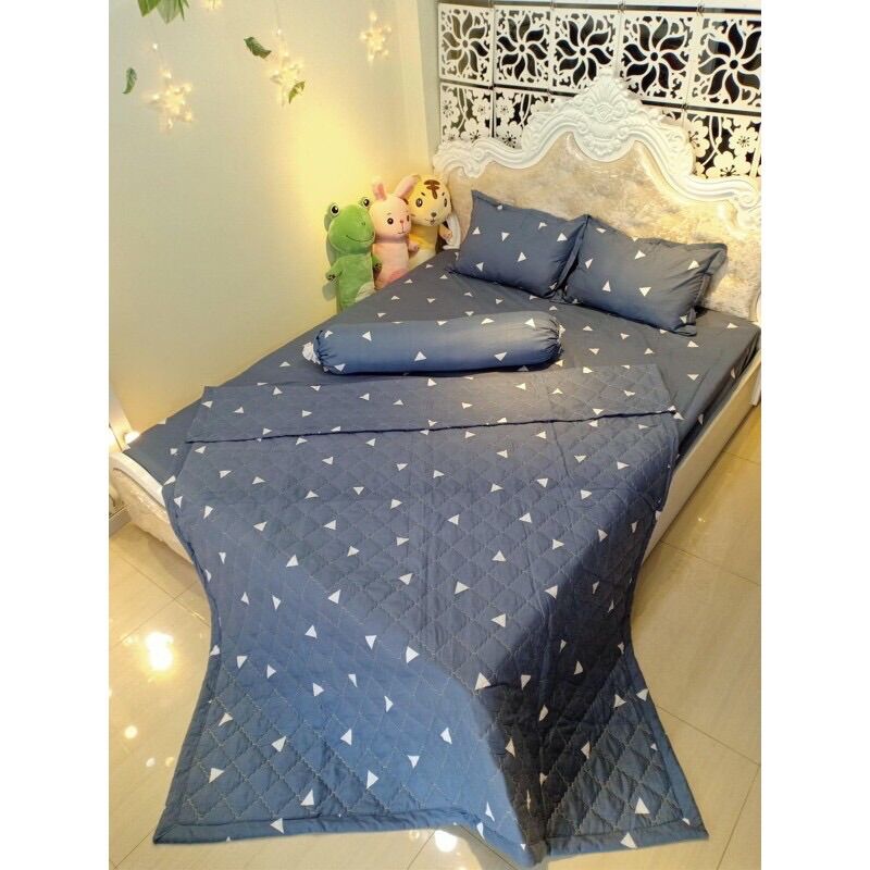 Chăn hè COTTON POLY trần bông 3 lớp (Được chọn mẫu)