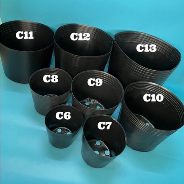 Combo 10 Chậu nhựa mềm trồng cây ( Chậu C6, C7, C8, C9 )
