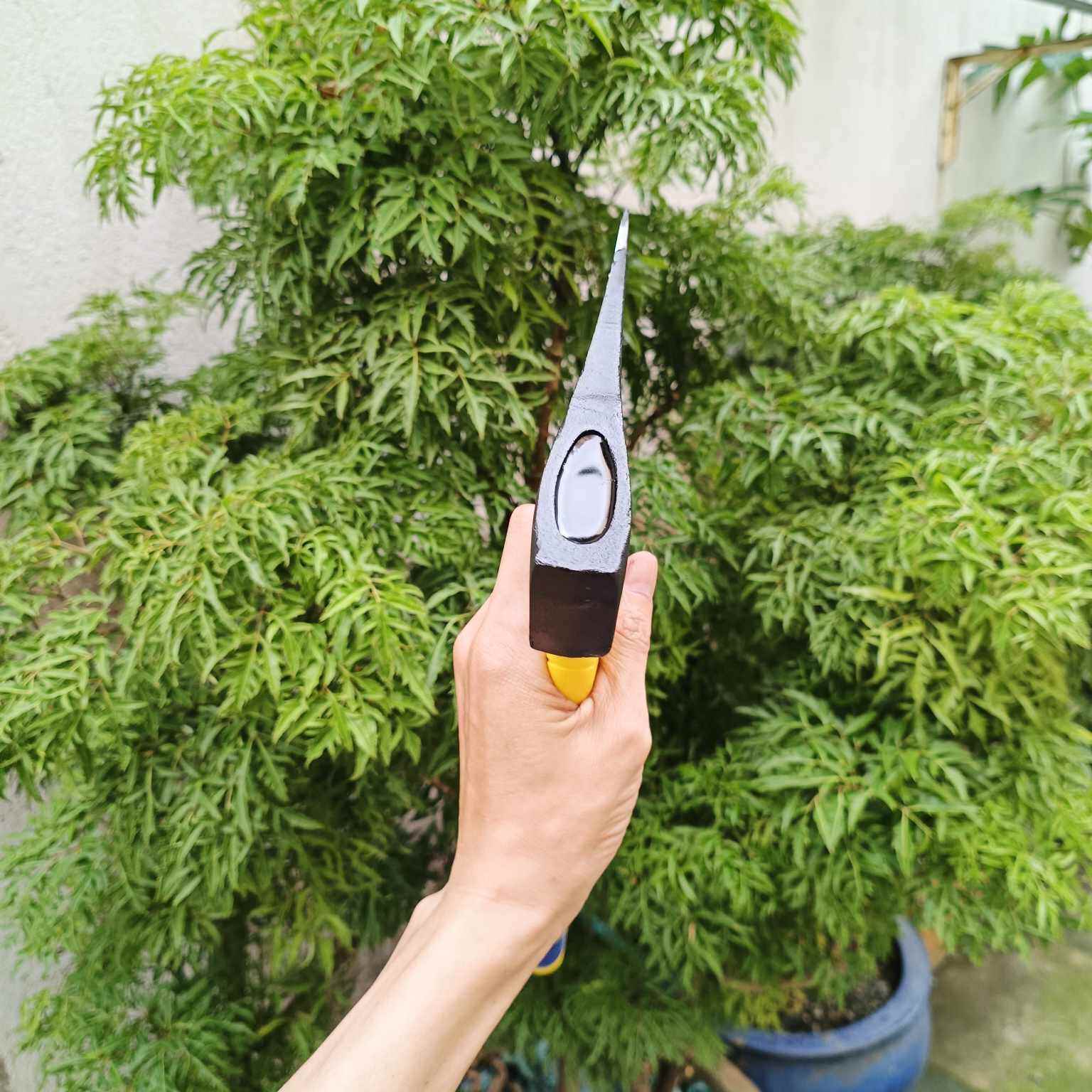 búa rìu làm vườn, bổ củi, chặt cây