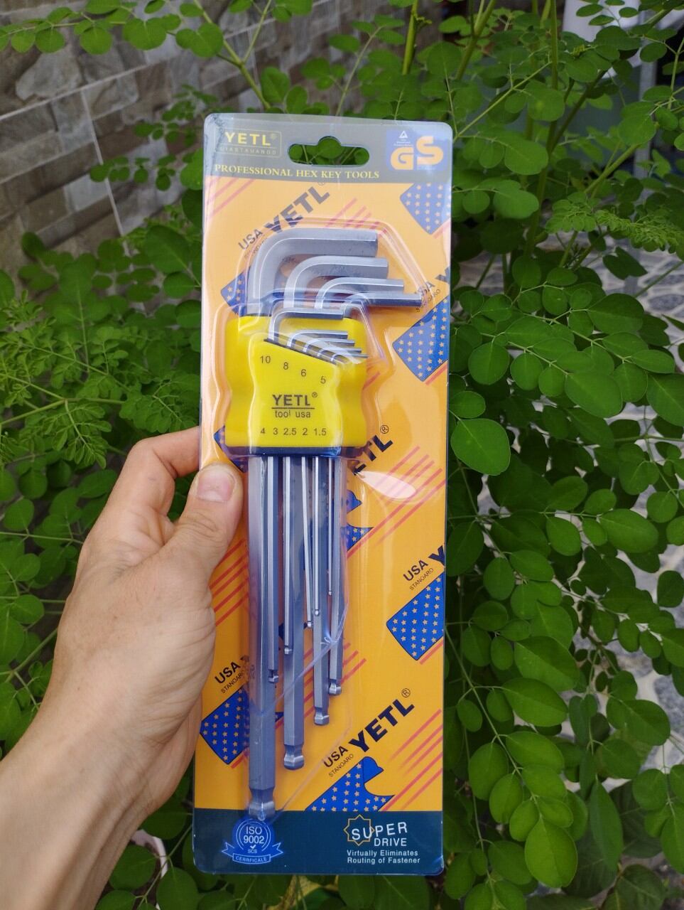 Bộ lục giác Bi hoặc Hoa Thị Yeti