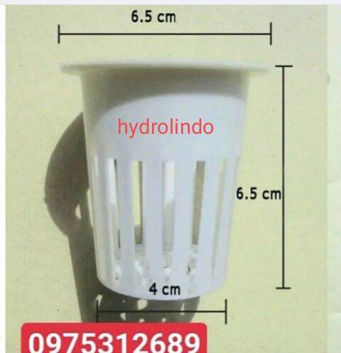 Combo 50ro nhựa thủy canh 65*65