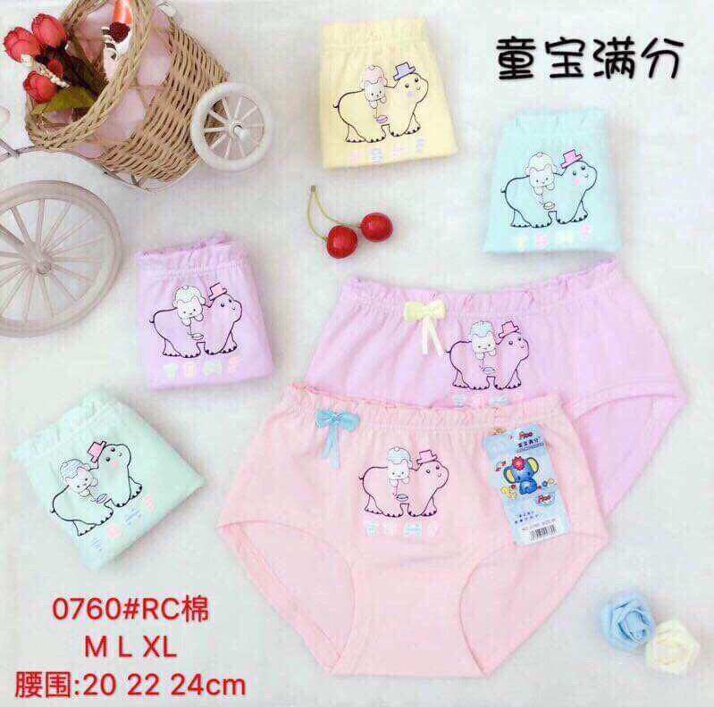 Combo 5 quần chip cotton cao cấp bé gái