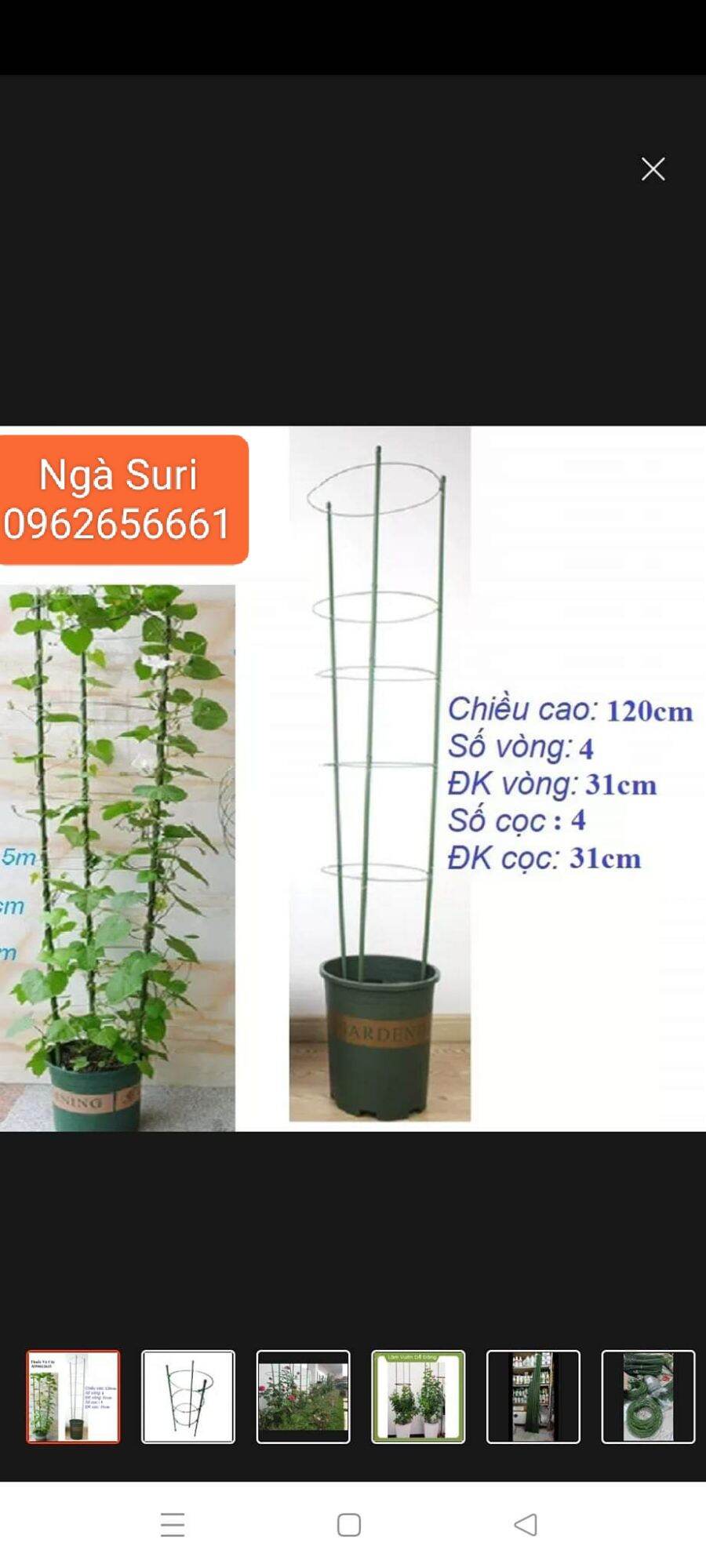 3 khung đỡ hoa hồng hoa lan cây leo 120cm phi 7