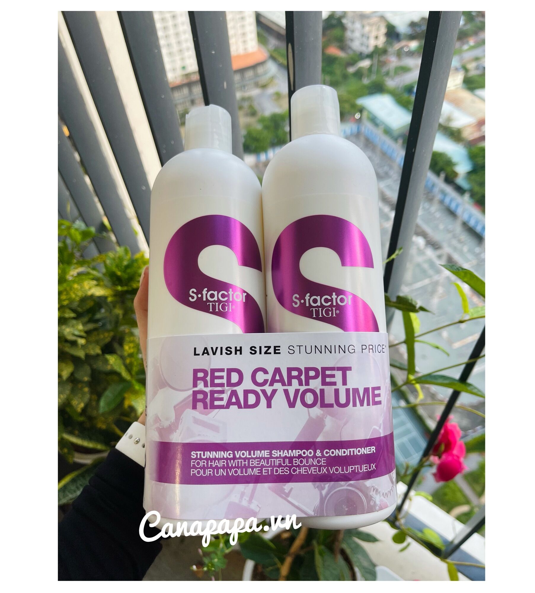 Bộ dầu gội xả Tigi trắng cao cấp S Factor Red Carpet