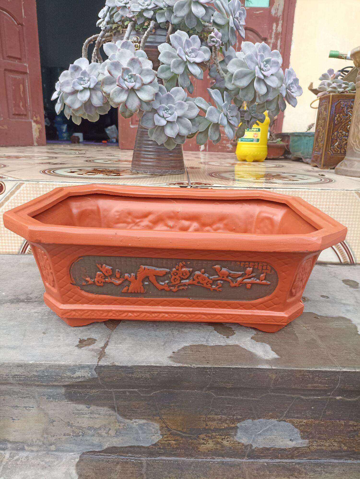 Chậu chữ nhật 4215cm Bát Tràng