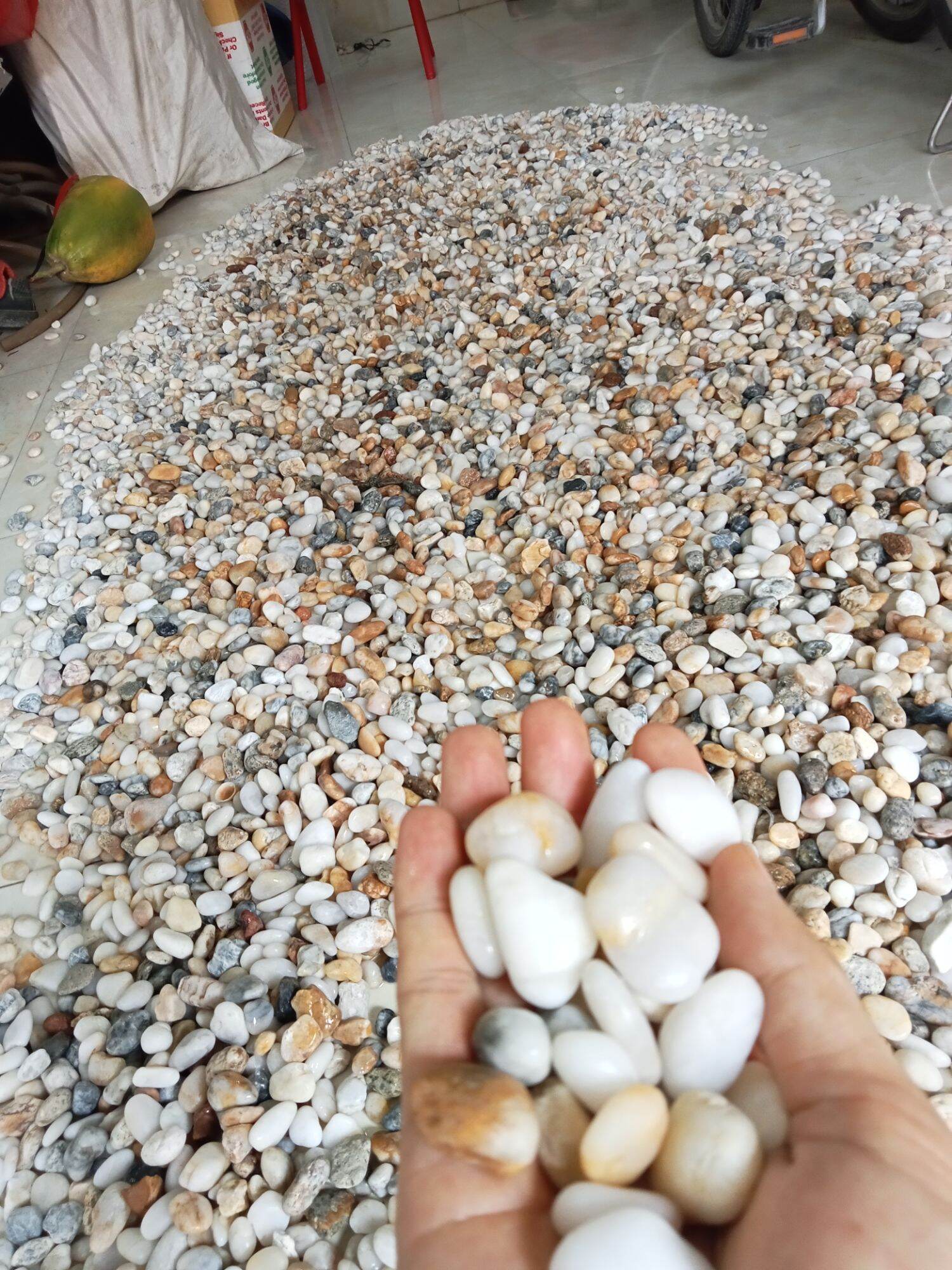 Combo bộ cờ ô quan và cờ búng