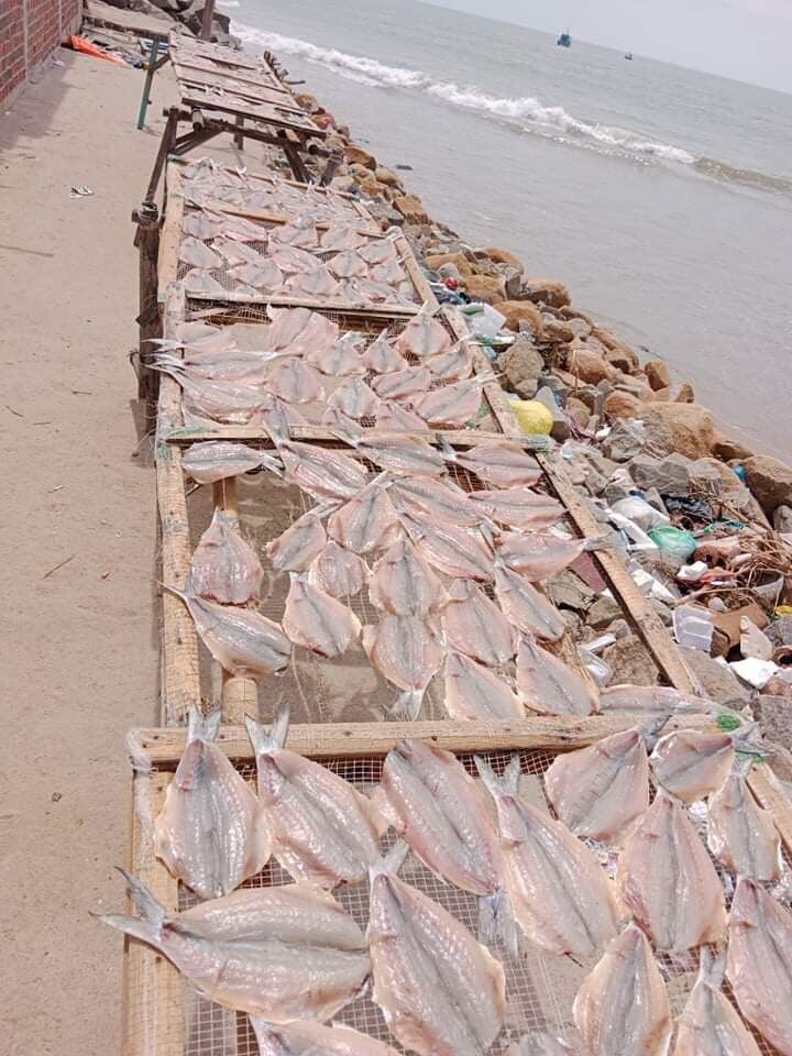 [500gr] KHÔ ĐÙ 1 NẮNG LONG HẢI SIZE 10-15c/ký