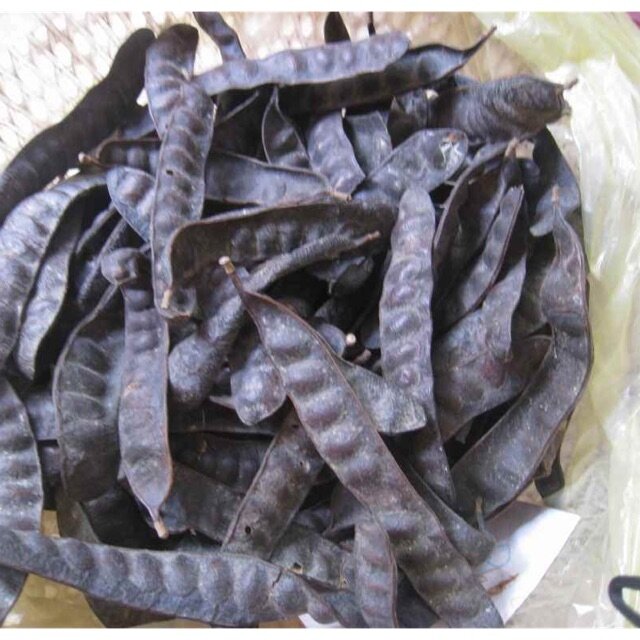 1kg bồ kết khô
