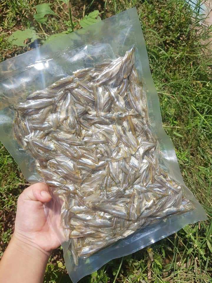 500g khô cá lòng tong