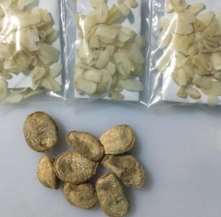 10 hạt sang (sành) hỗ trợ điều trị bệnh dạ dày