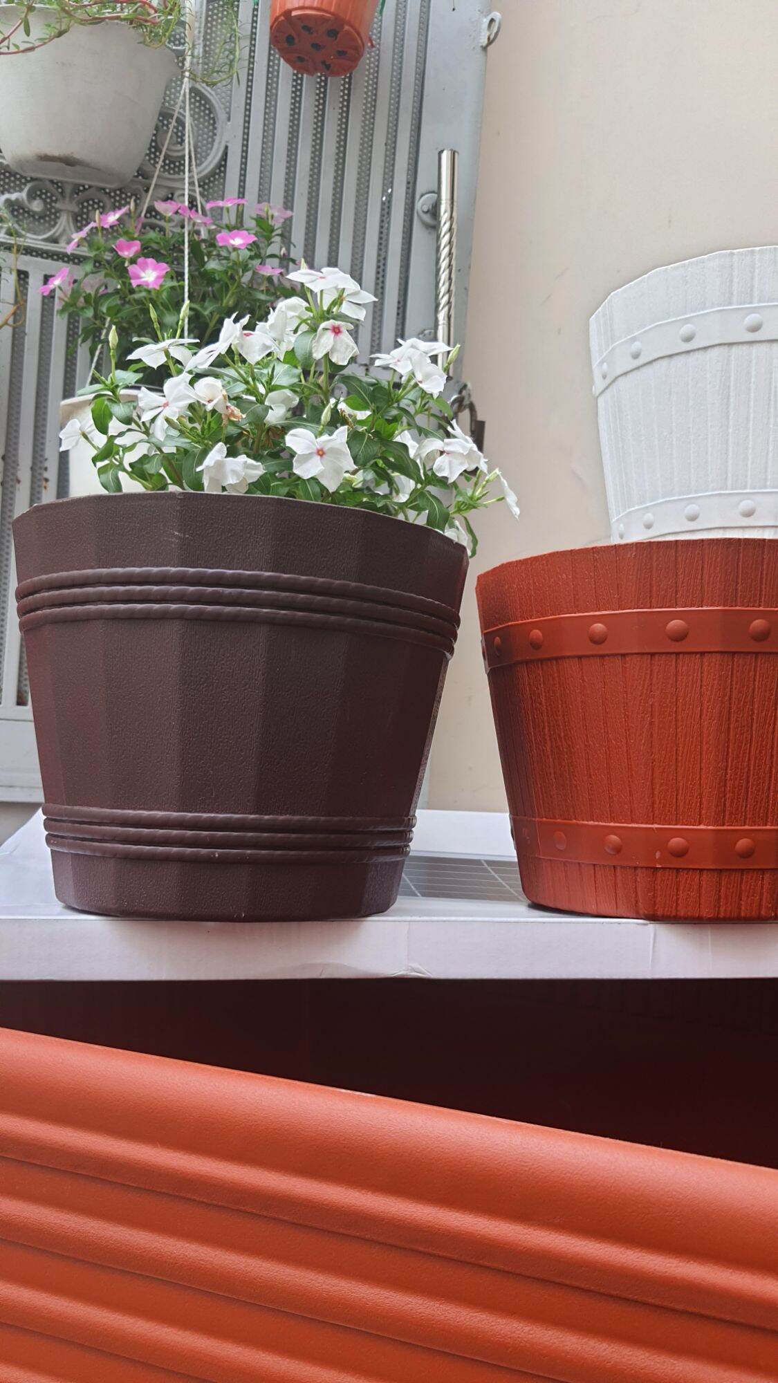 combo 5 chậu nhựa kiểu thùng gỗ đk 21cm