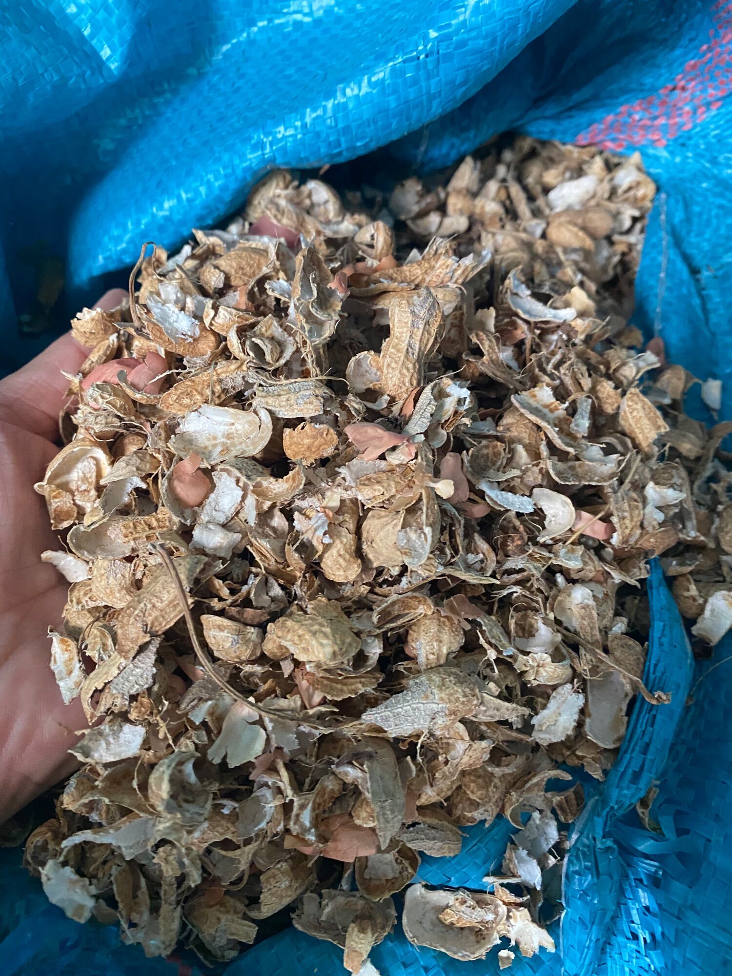 10 kg Vỏ đậu phộng dùng trồng lan