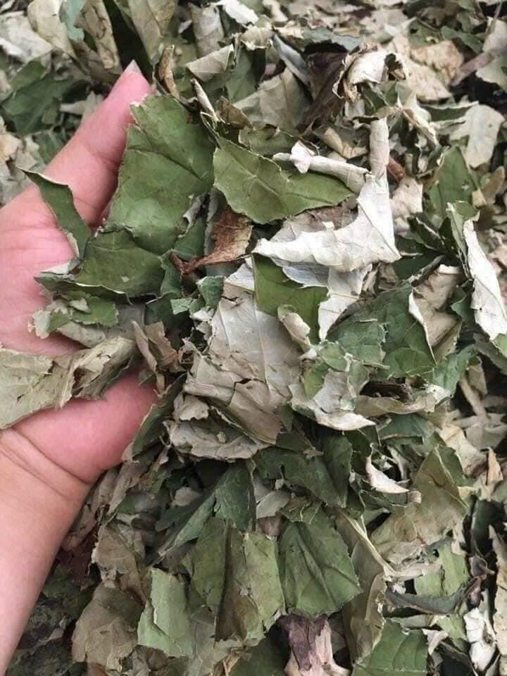 Trà lá sen túi lọc