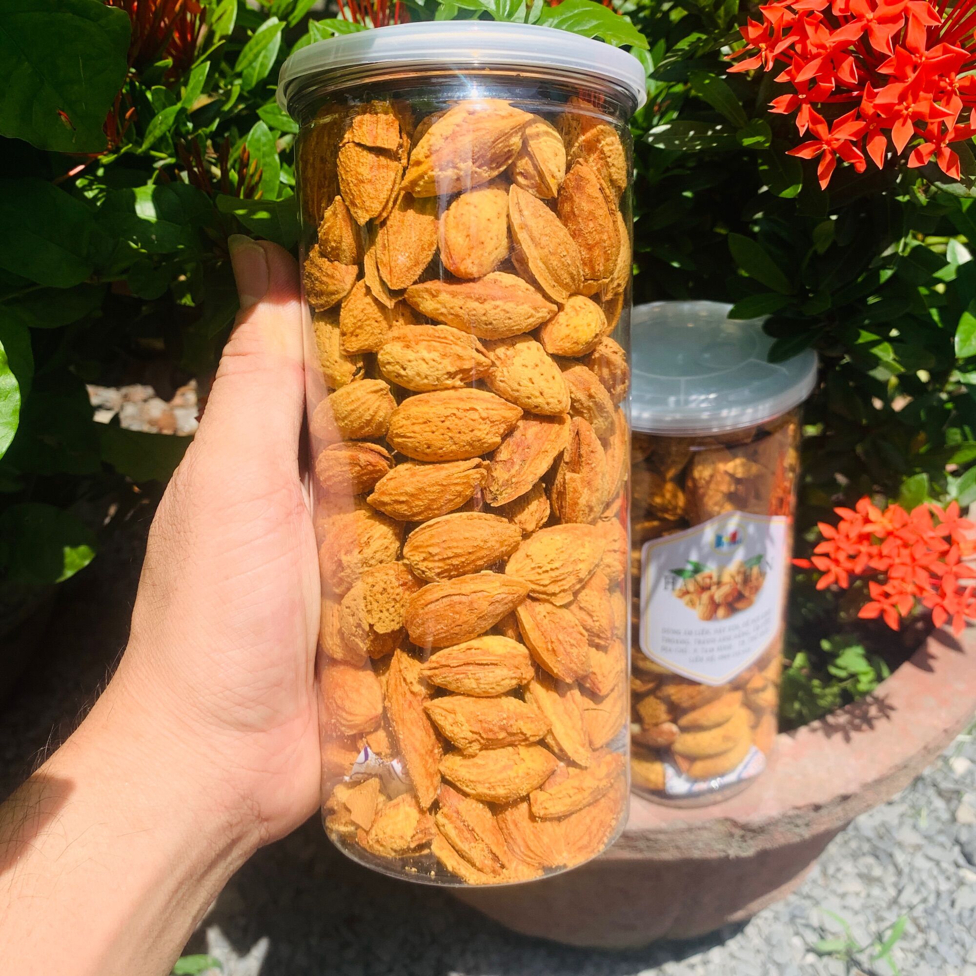 Hạnh nhân rang bơ Lon 500gram