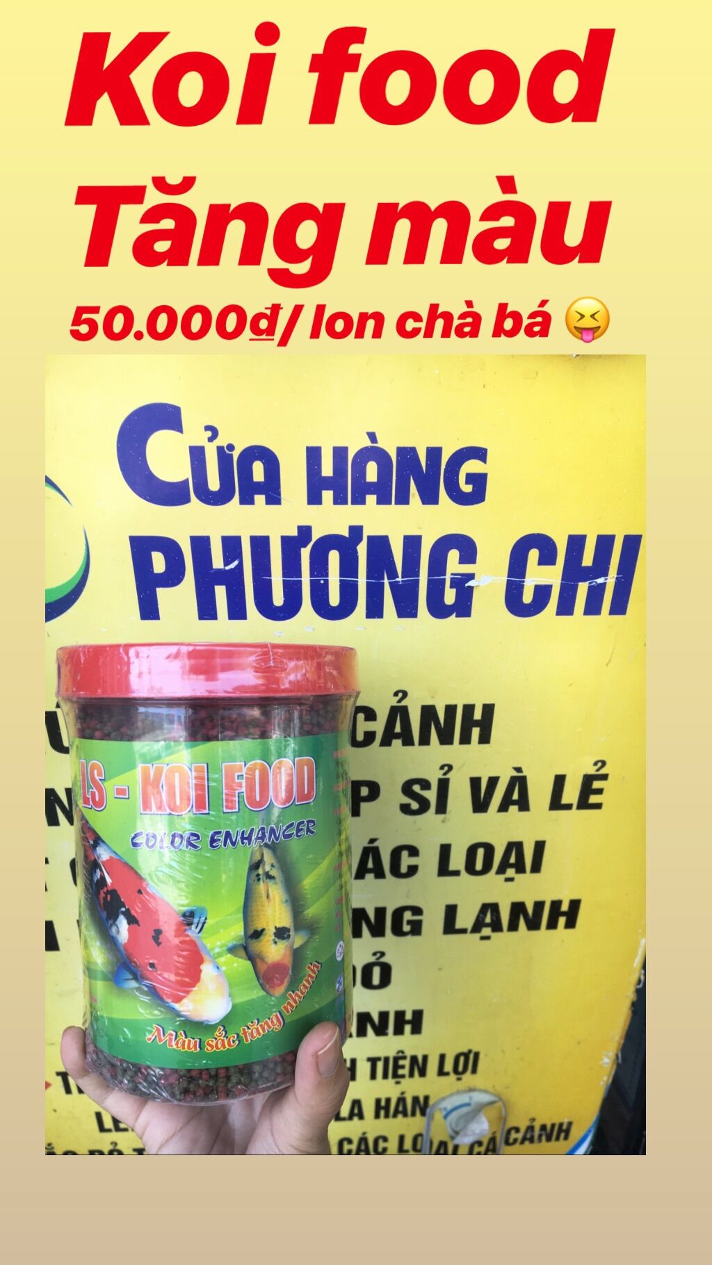 Thức ăn cá cảnh/cá koi/cá chép LS - Koifood