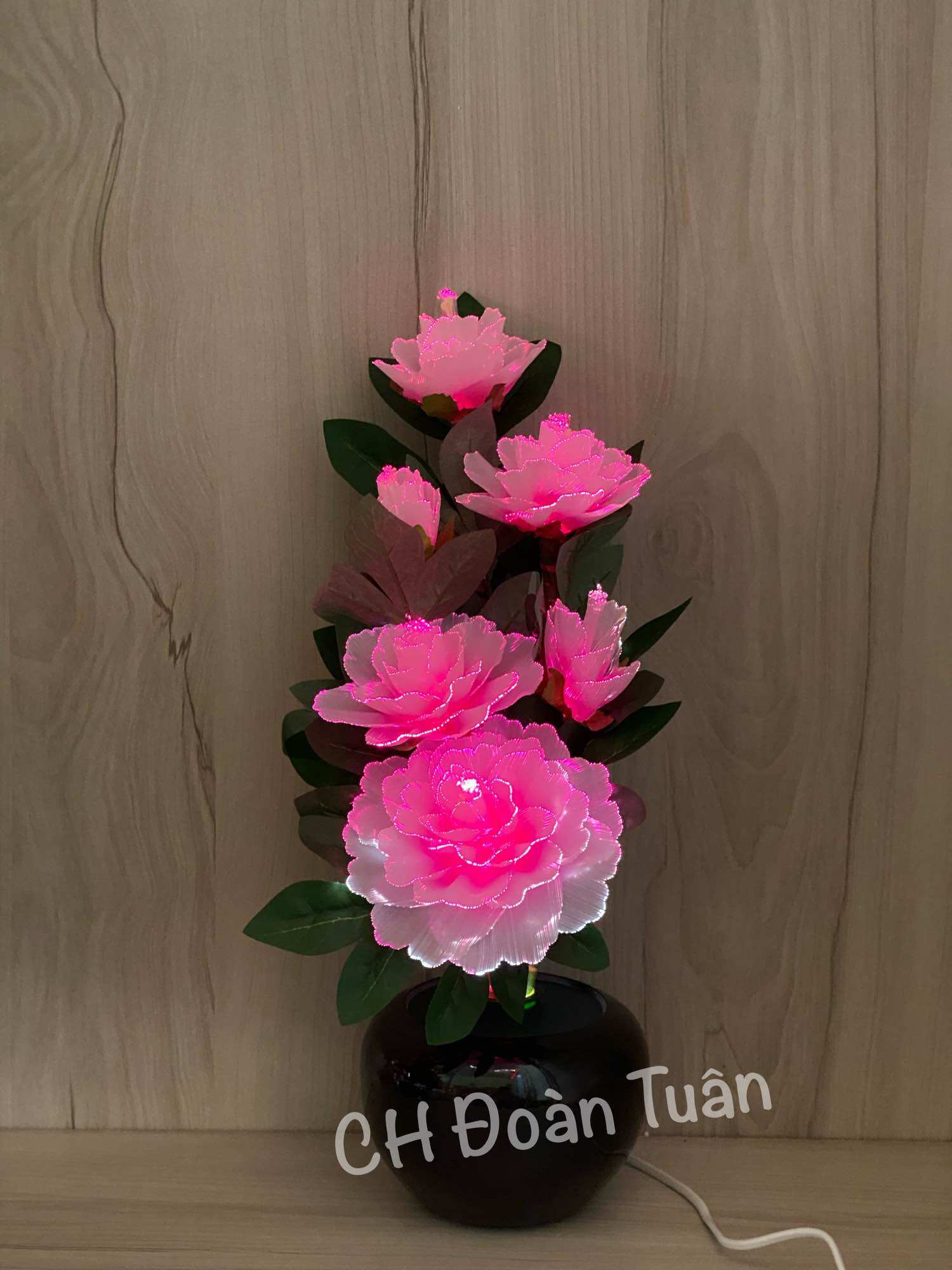 Chậu hoa đèn LED để bàn trang trí - đèn bình hoa thủy tinh