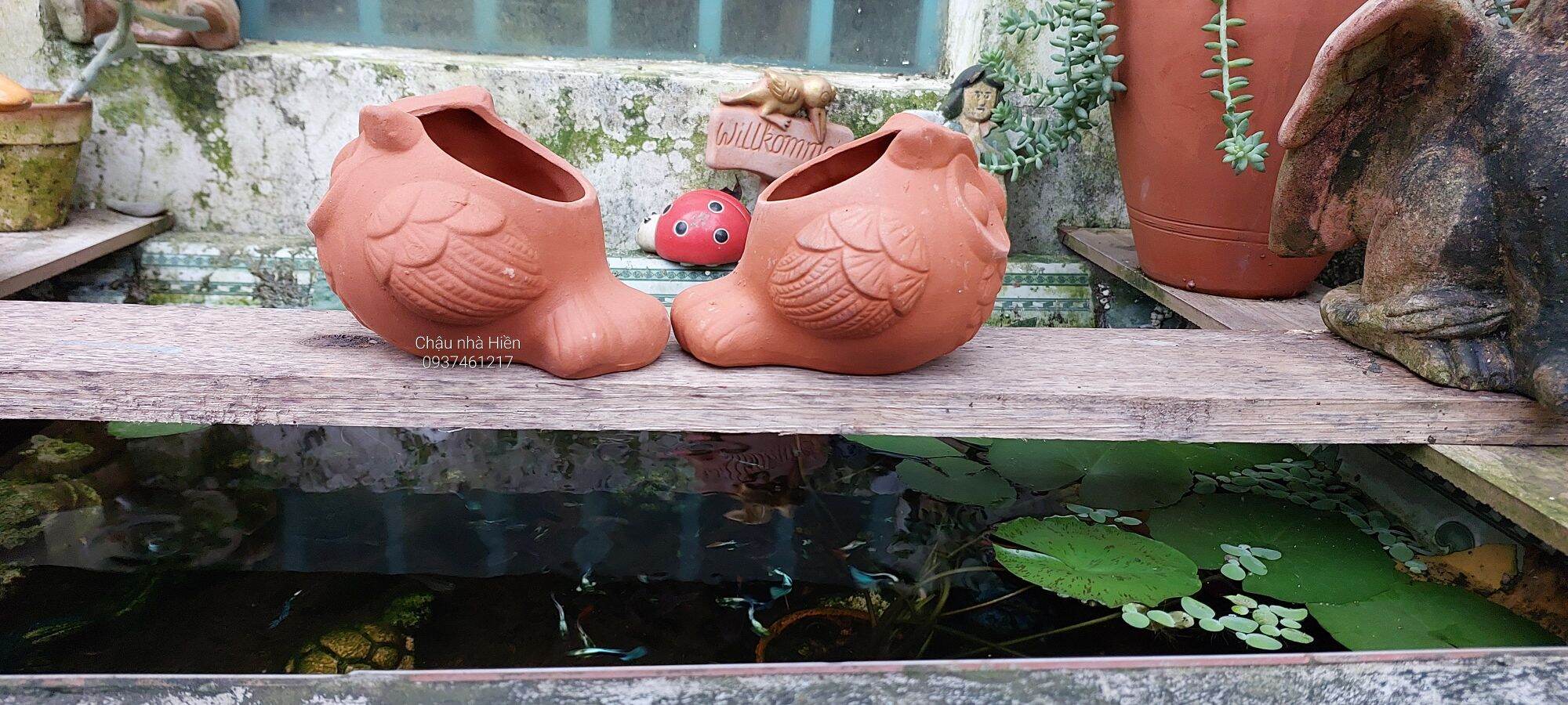 Chậu đất nung Bình Dương hình cú banh đuôi dài