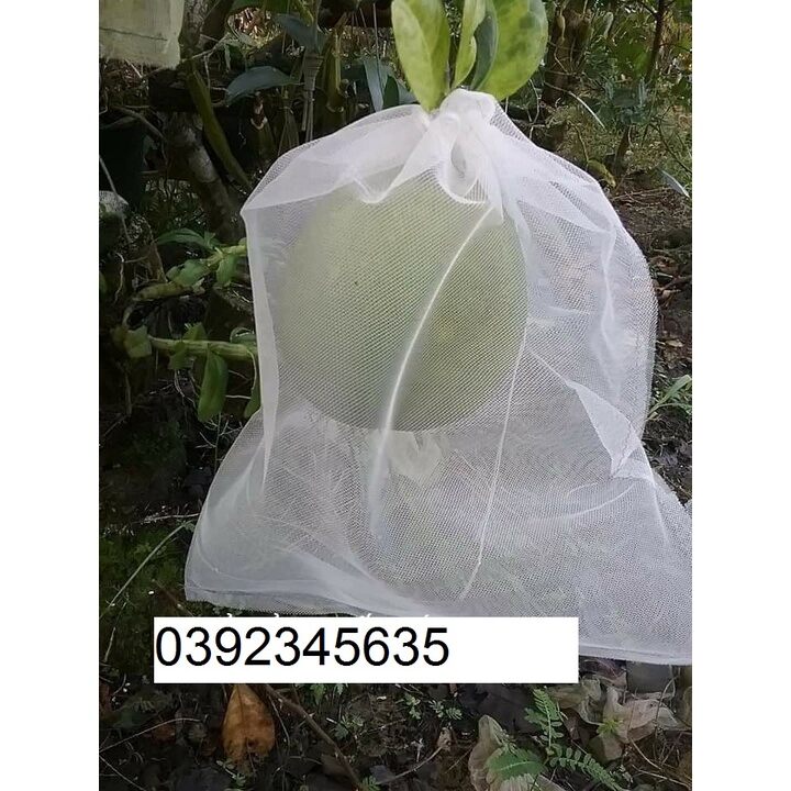 100 cái túi bao, bọc bưởi, nhãn loại lưới dày 2 lớp kích thước 35*40cm