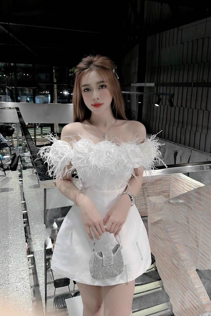 ĐẦM  XÒE HOA TRỄ VAI ĐÍNH LÔNG