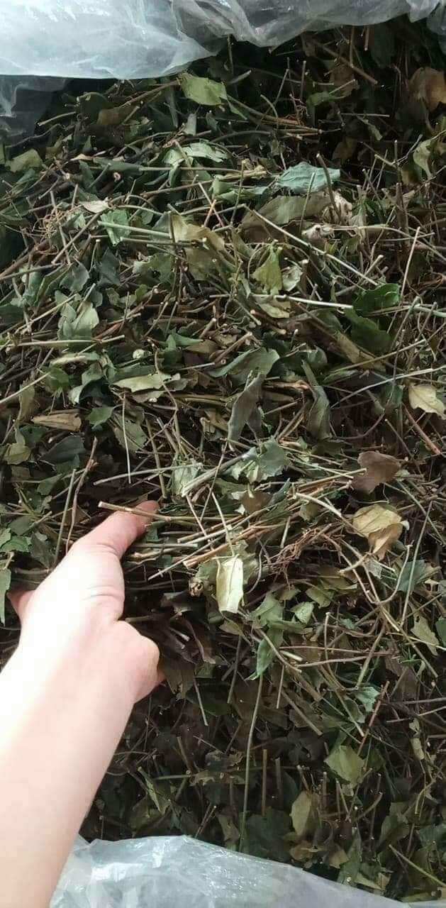 1 kg Chè Vằng Sẻ  chuẩn