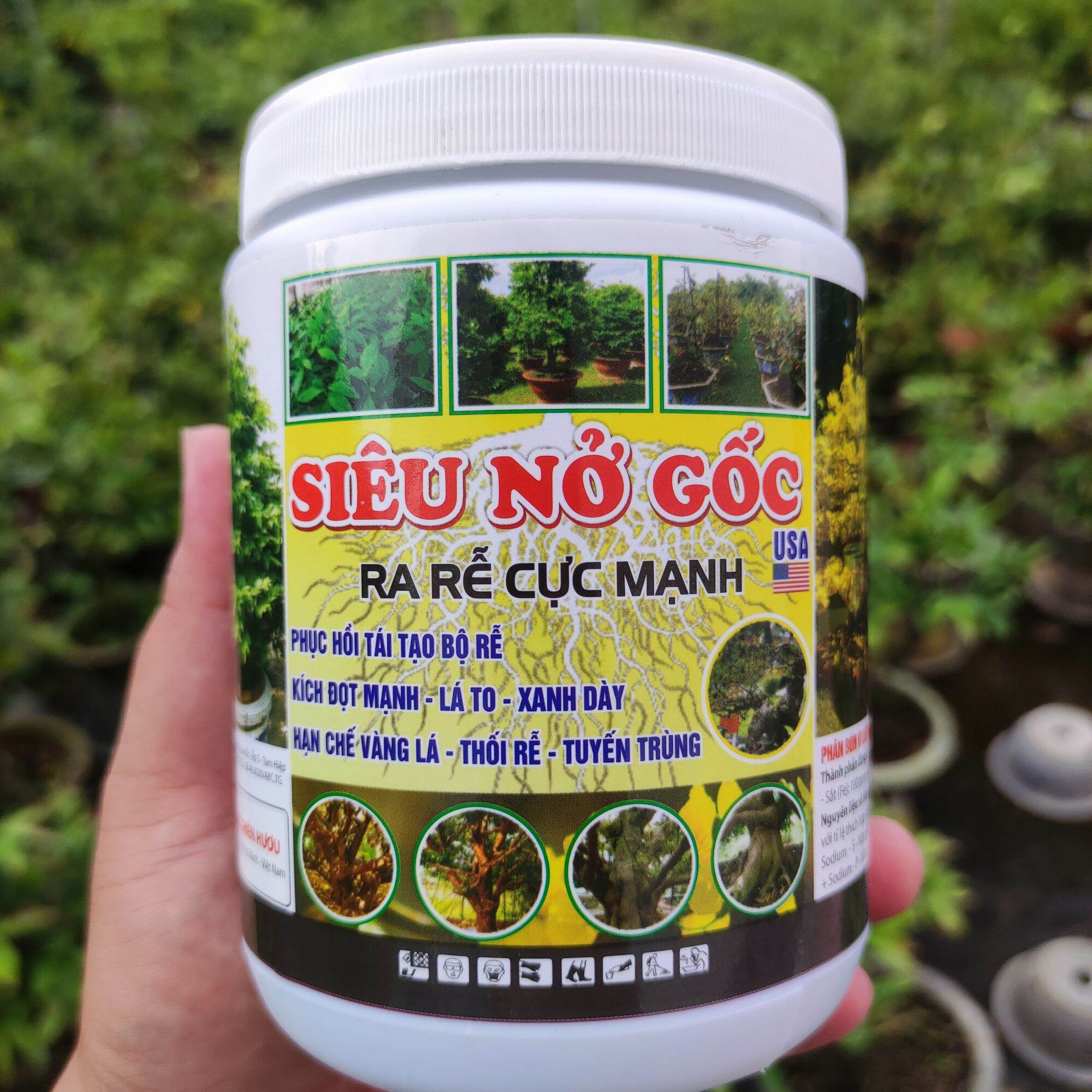 Dưỡng rễ siêu nở gốc usa mập thân mập đọt kích rể cực mạnh