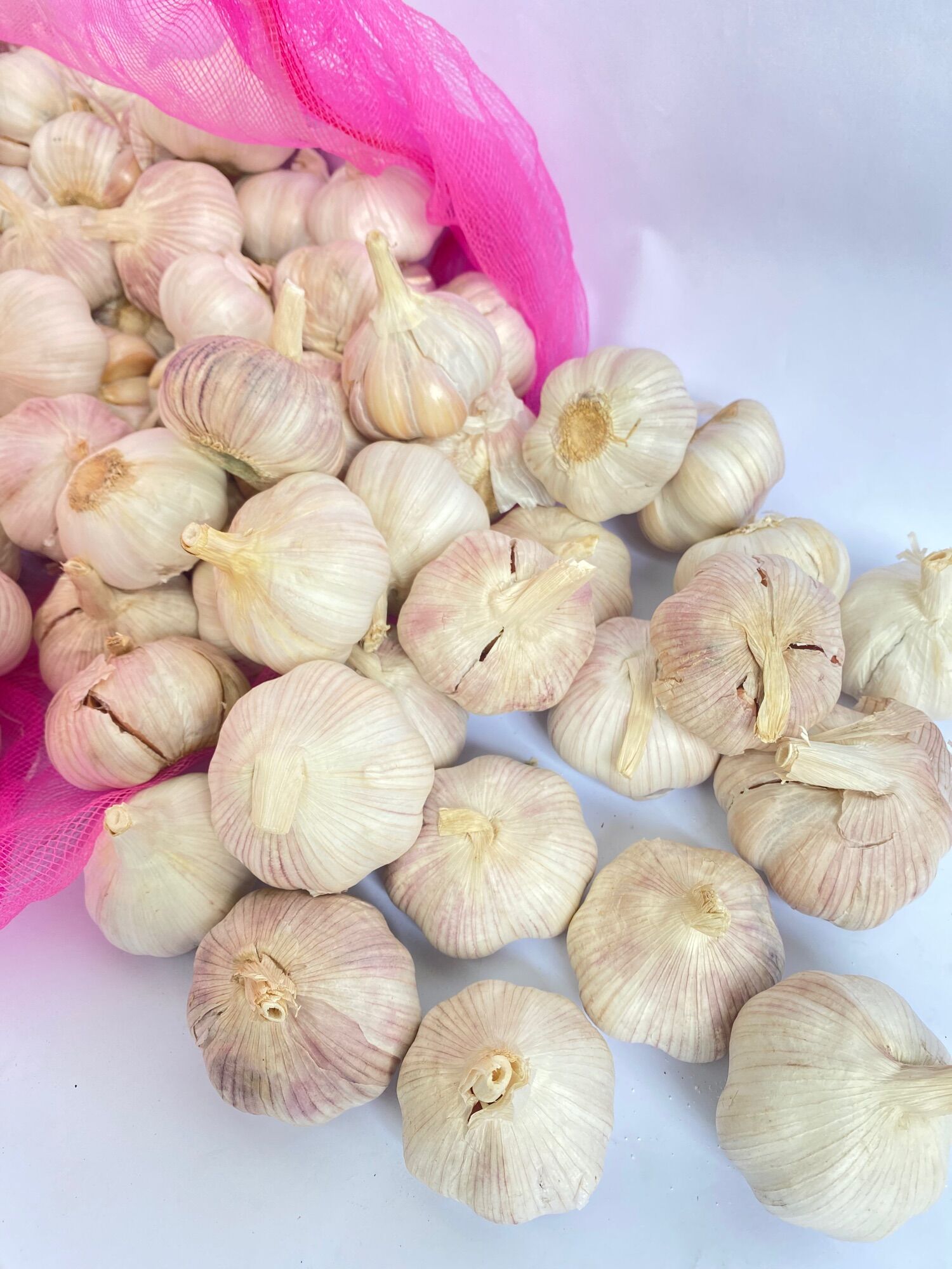 tỏi / tỏi lụa sạch 1kg