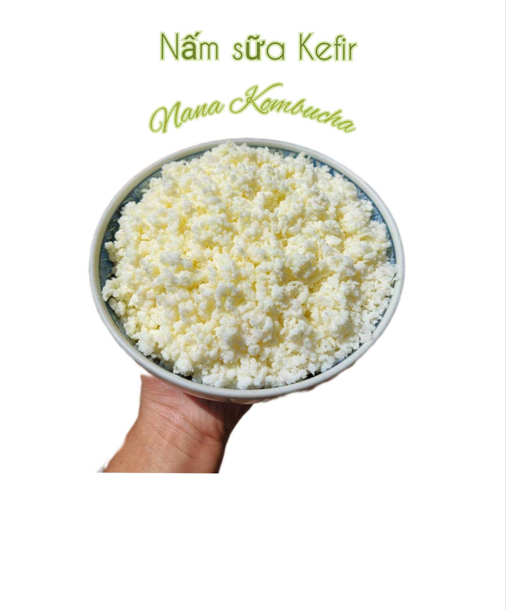 Combo nấm sữa kefir + rây nhựa + thìa gỗ