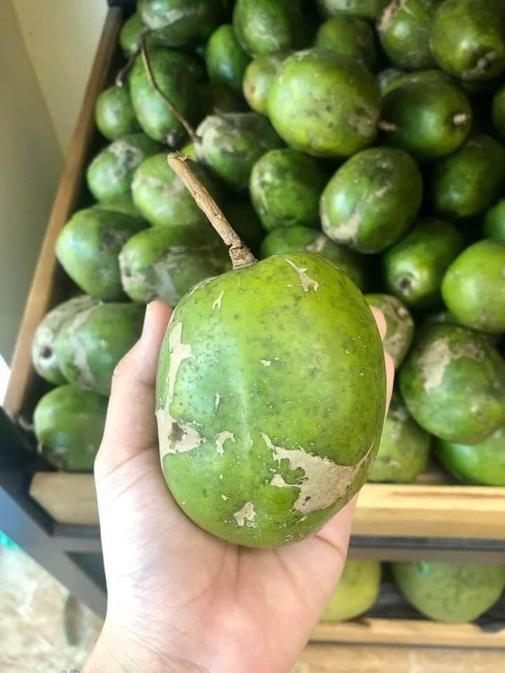 Cóc trái to - 1kg