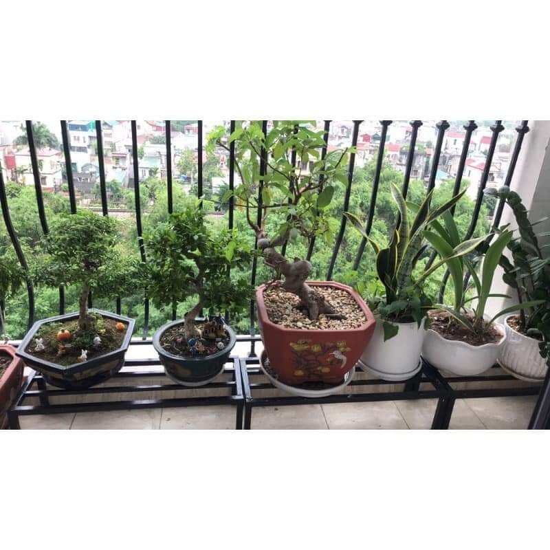 Kệ kê chậu hoa cây cảnh