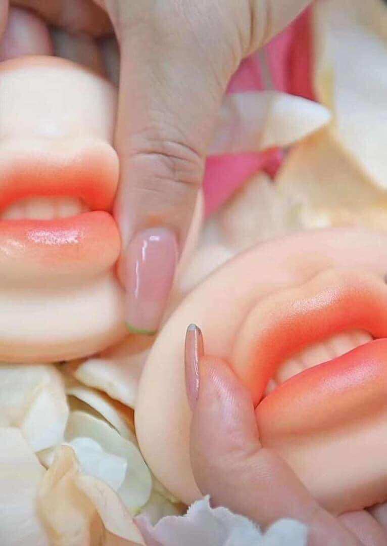 Môi thực tập 5D