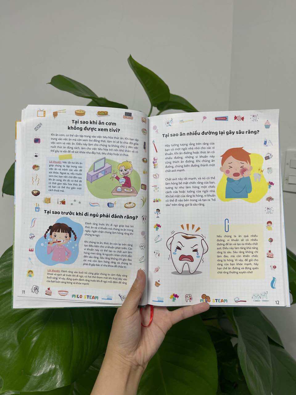 Bách khoa toàn thư (phiên bản hình minh họa)