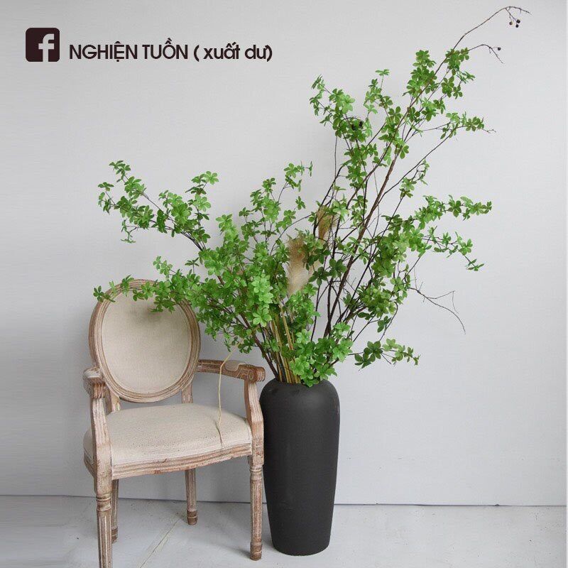 CÀNH THẠCH NAM NHẬT BẢN