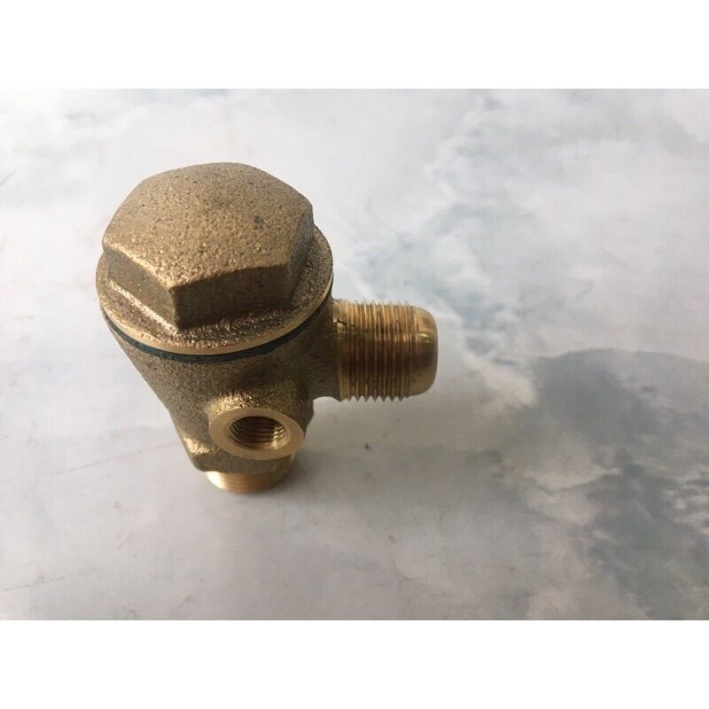 Van 1 chiều máy nén khí Đài Loan 21mm