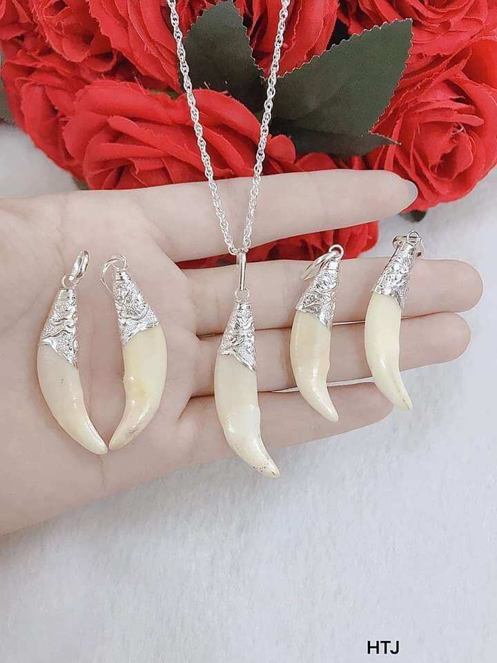 Nanh sói bọc bạc