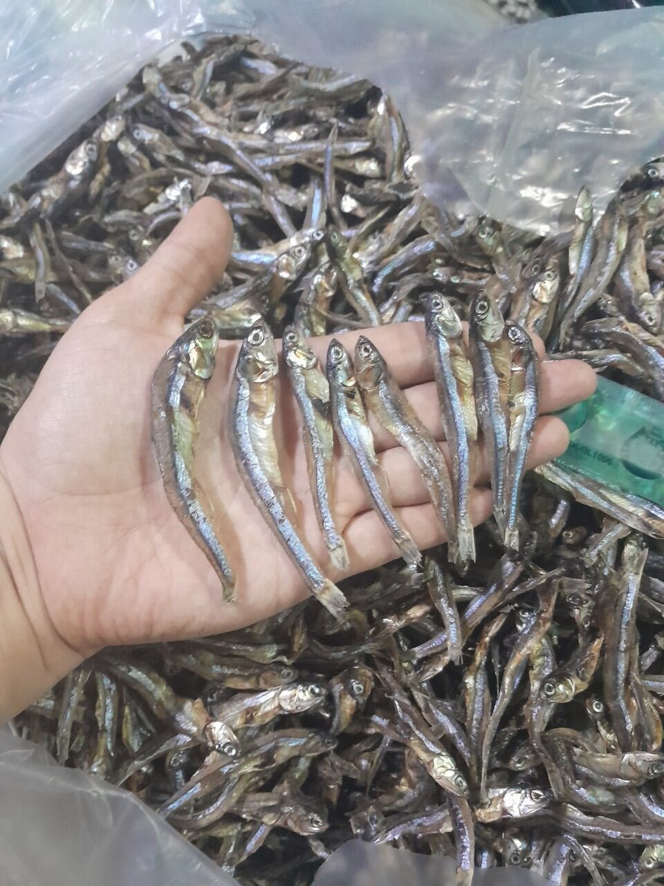 Khô cá cơm lạt ngon 1 ký
