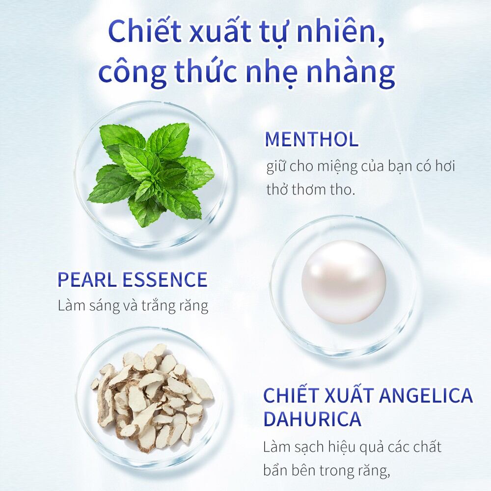 Bột Trắng Răng Chiết Xuất Ngọc Trai Bạc Hà