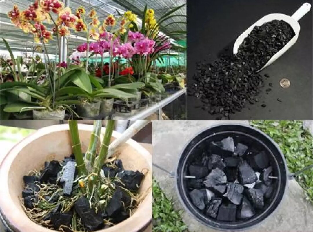 [1Kg] than củi trồng lan đã qua xử lý